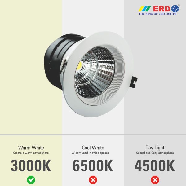 ERD LED Light COB LD-173WW (3W 3.0R) 8