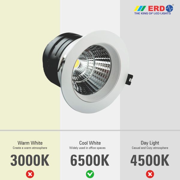 ERD LED Light COB LD-175CW (10W 4.5R) 8